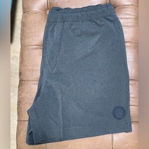 New Chubbies Mens Performance Shorts size Large 5.5” inseam